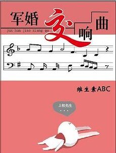 《军婚交响曲》