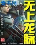 《无上龙脉》