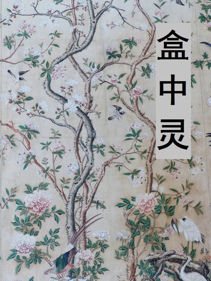 盒中灵