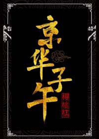 《京华子午》