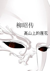 《柳昭传》