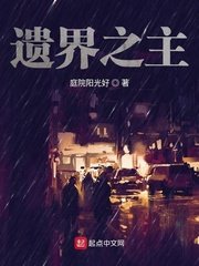 《遗界之主》
