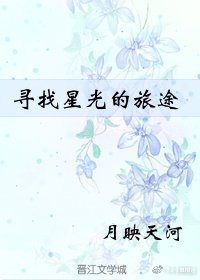 《寻找星光的旅途》
