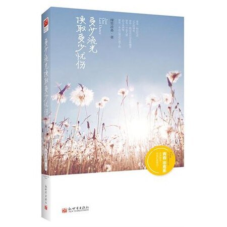 多少流光换取多少忧伤（出书版）