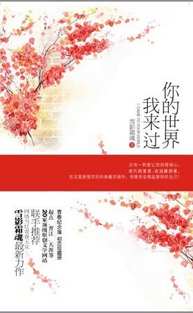 你的世界我来过（出书版）