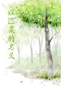 以温柔的名义