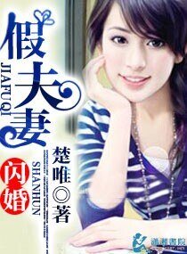 闪婚假夫妻
