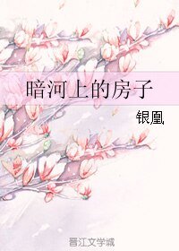 《暗河上的房子》