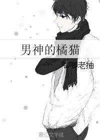 男神的橘猫