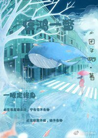 惊鸿一瞥