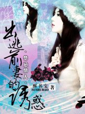 《禁忌情人:出逃前妻的诱惑》
