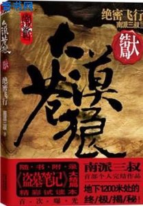 大漠苍狼2:绝密飞行