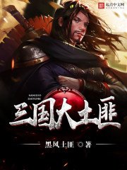 《三国大土匪》