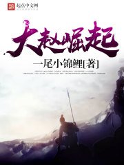 《大赵崛起》