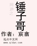 《网游之锤子哥》