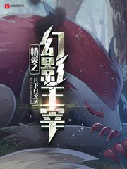 《精灵之幻影主宰》