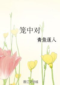 笼中对