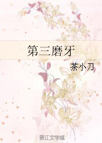 第三磨牙