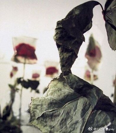 《死爱第二卷》