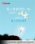 《爱上青春里的一枚烟火》