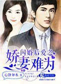 《闪婚后爱之娇妻难为》