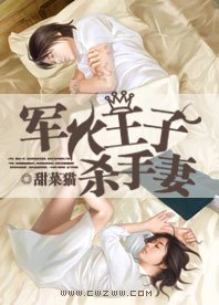军火王子杀手妻