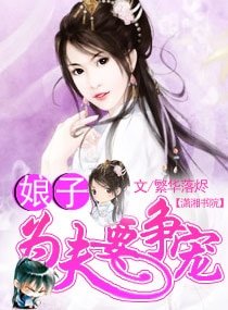 娘子，为夫要争宠（宠文）