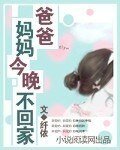 《爸爸,妈妈今晚不回家》