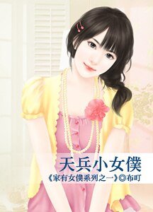 天兵小女仆（家有女仆之一）