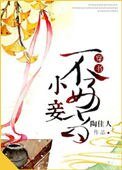 《小妾不好当》