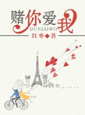 《我赌你爱我》