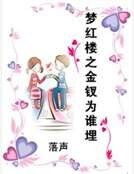 梦红楼之金钗为谁埋