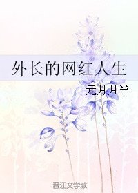 《外长的网红人生》