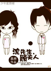 《沈先生,顾夫人》