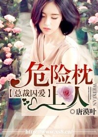 《总裁,爱你不迟/危险枕上人》