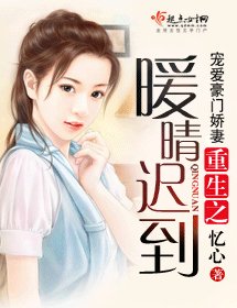 重生之暖晴迟到