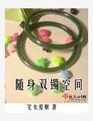 随身双镯空间