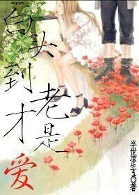 《白头到老才是爱》