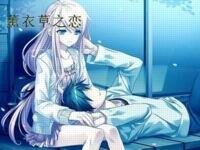 薰衣草之恋