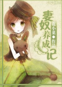 妻奴养成记（高干）