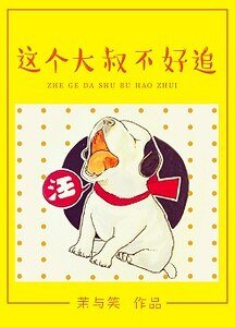 这个大叔不好追