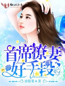 《首席撩妻,好手段》