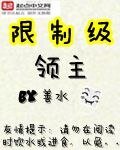 《限制级领主》