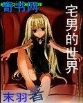 宅男的世界