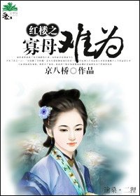 《红楼之寡母难为》