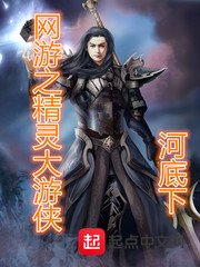 《网游之精灵大游侠》