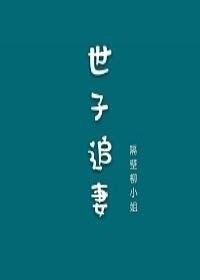 《小世子追妻记》