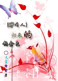 《(HP同人)归来的铂金色》