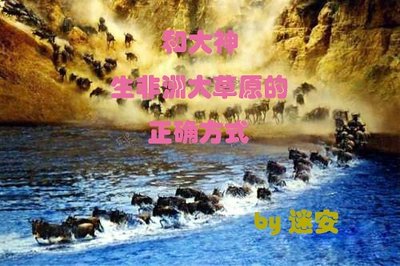 《和大神生非洲大草原的正确方式》