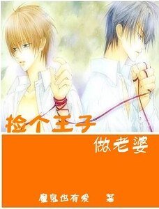 捡个王子做老婆